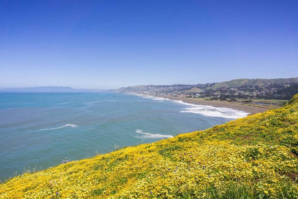 Mori Point superbloom