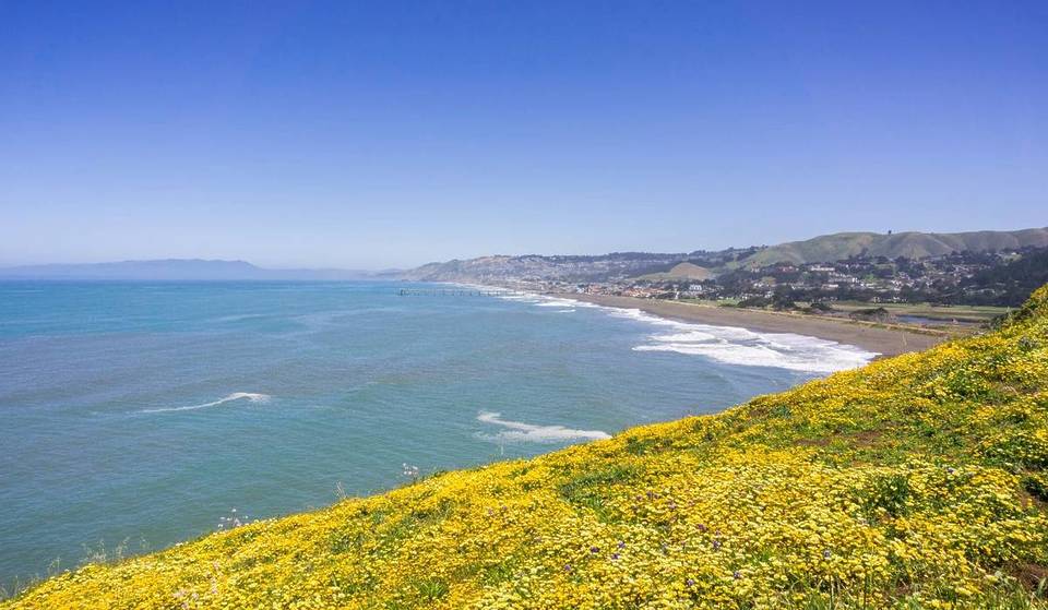 20 Minutes From SF, This 110-Acre Coastal Park Is About To Be Covered With Thousands Of Golden Wildflowers — And It Overlooks A Dramatic Black Sand Beach