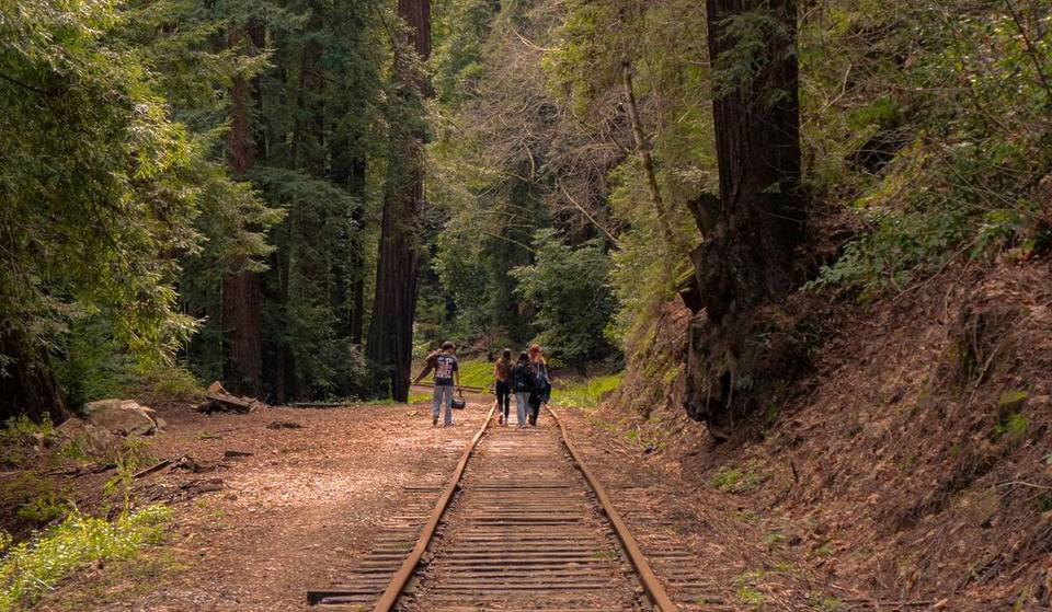 California está transformando una vía férrea abandonada en un sendero de 300 millas desde San Francisco hasta Humboldt, pasando por la región vinícola, las montañas y antiguos bosques de secuoyas