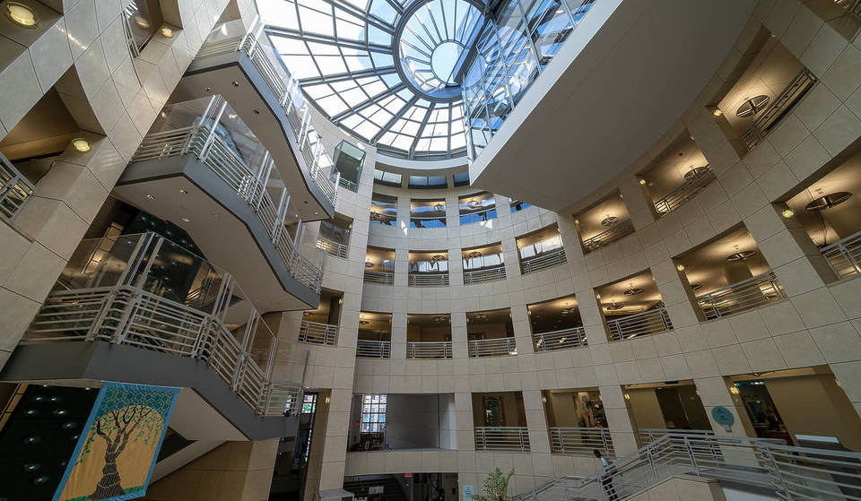 La Sinfónica de San Francisco ofrece conciertos gratuitos en bibliotecas locales este mes de abril: cómo ver a estos músicos de talla mundial por 0 $