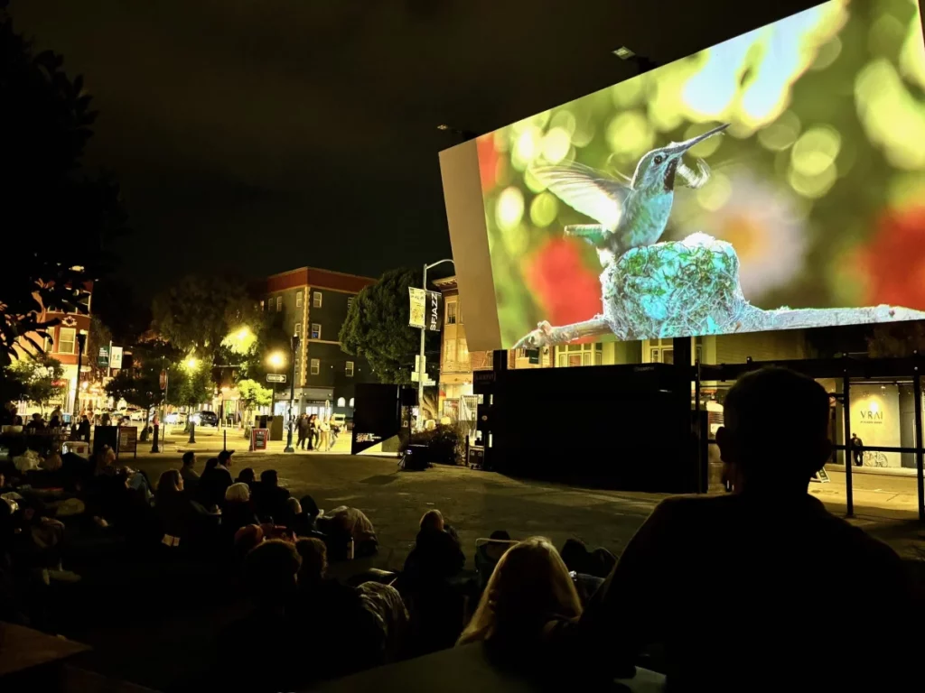 outdoor free movie night