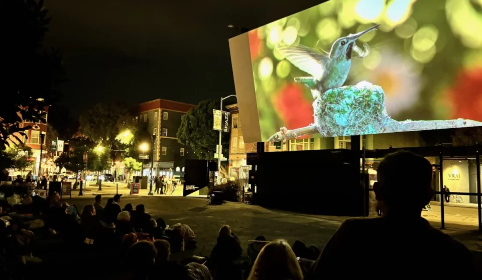 Hayes Valley Is Hosting Free Outdoor Movies On Friday Nights This Spring