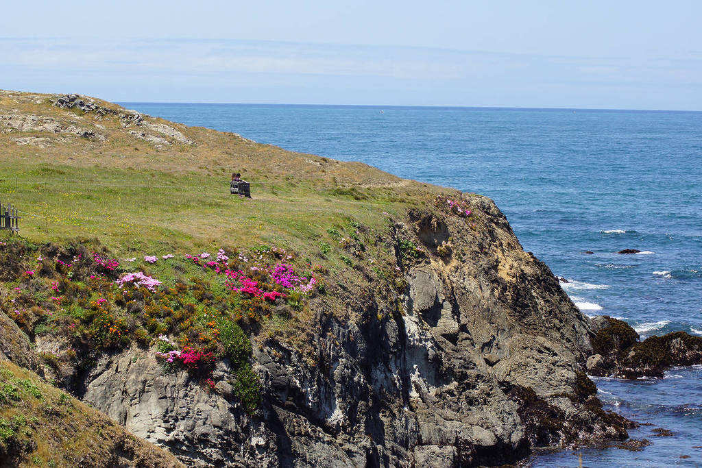 a coastal garden in California