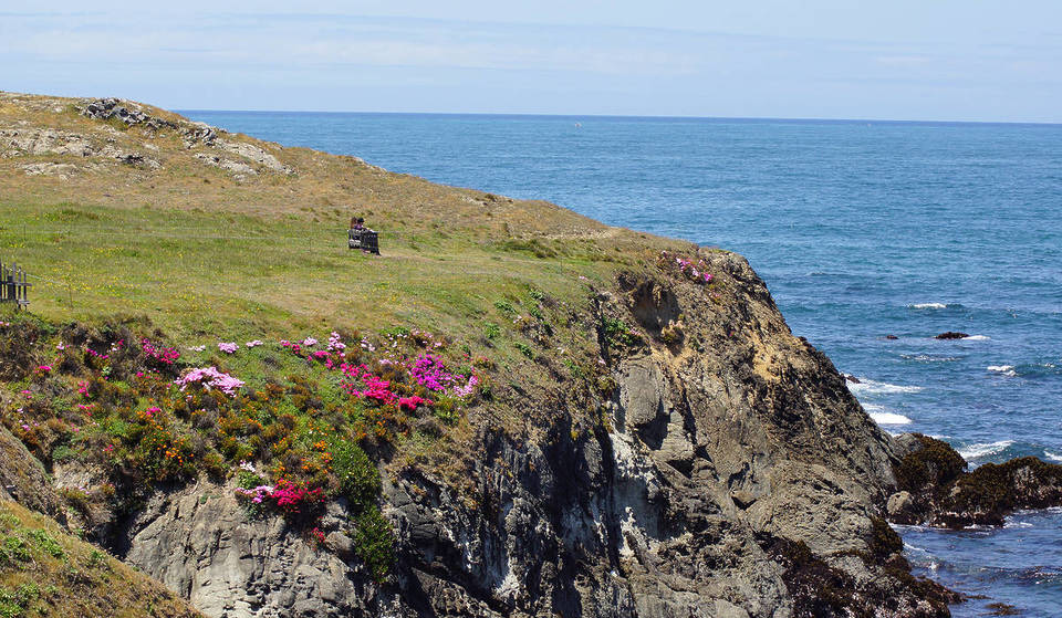 Just 3 Hours North Of San Francisco Lies A 47-Acre Oceanfront Botanical Garden Perched On Dramatic Coastal Bluffs