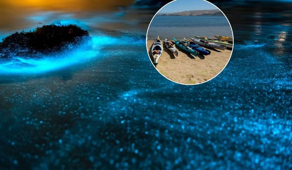 1.5 Hours From SF, On A Few Select Evenings A Month, A Nighttime Kayaking Tour Explores Glowing Bioluminescent Waters In Tomales Bay
