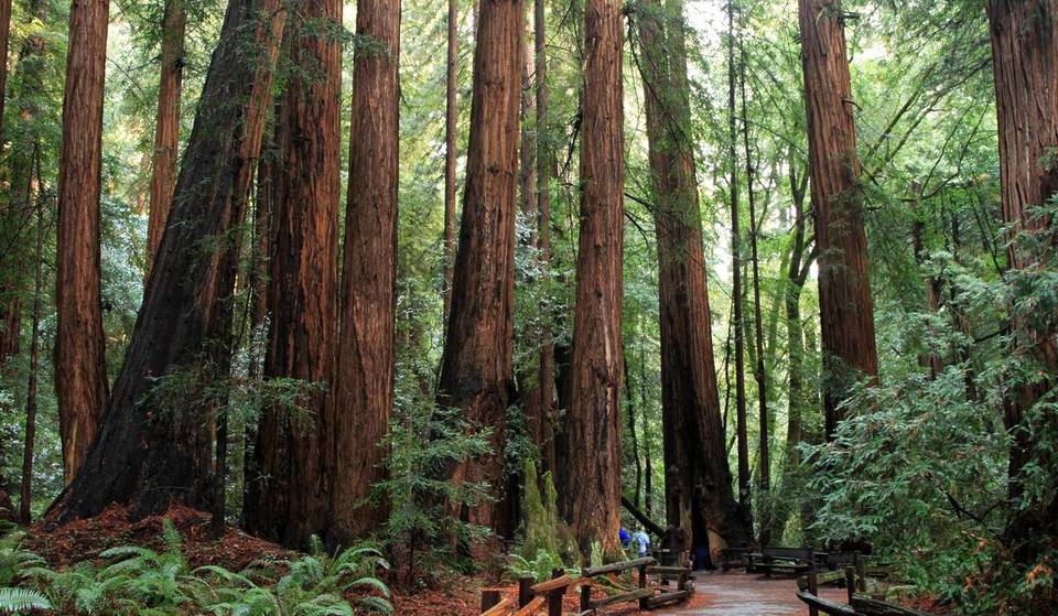 The Second-Most-Visited National Park In The Country Is Right Here In The Bay Area — It Drew 3 Times More Visitors Than Yosemite In 2025