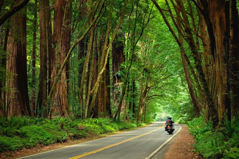 Avenida de los Gigantes