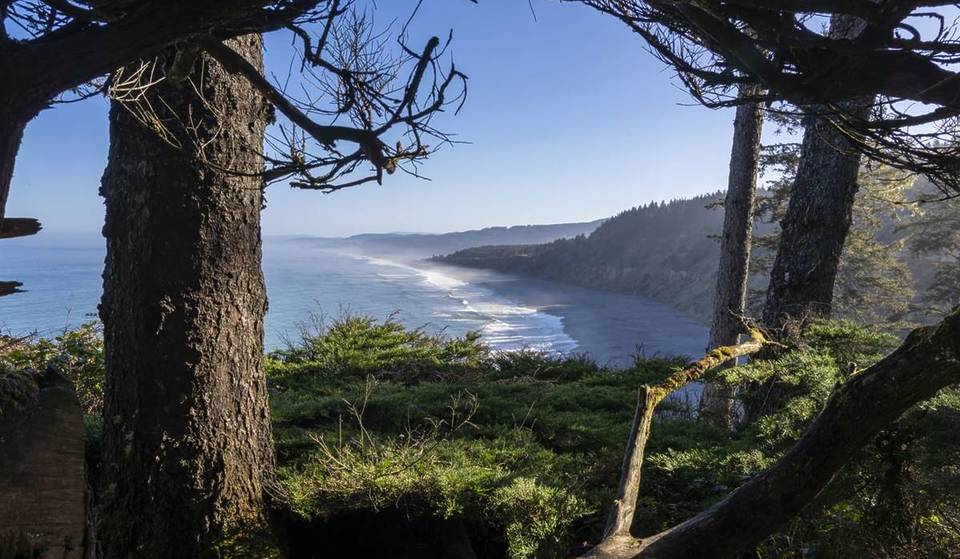 California Is Hosting A Week Of 171 Free Activities Across State Parks