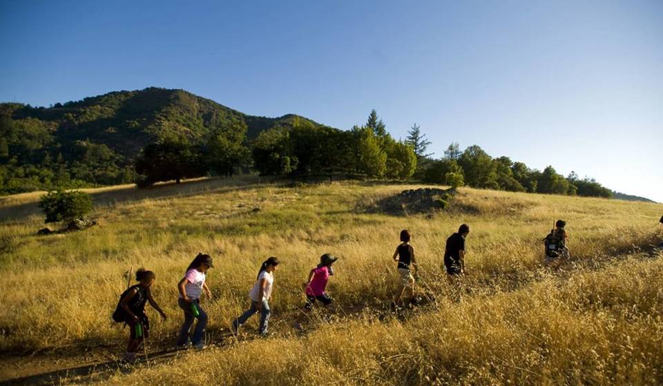 Votado como la «joya escondida» de los parques estatales de California, este paisaje montañoso de 832 metros de altura está a solo una hora y media de San Francisco y cuenta con una cascada estacional de 7,6 metros.