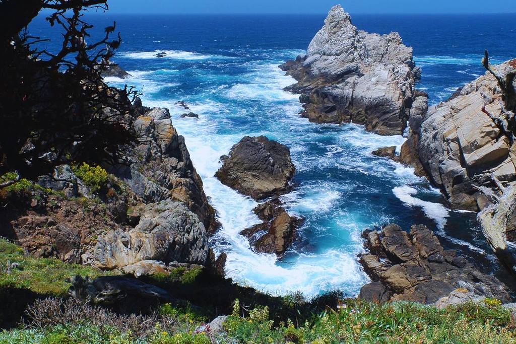 La cala de Point Lobos