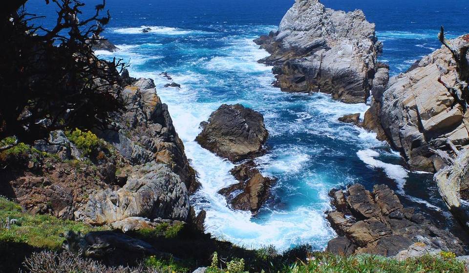 A solo 2 horas de San Francisco, esta reserva costera fue votada como el «mejor parque estatal para excursiones de un día» de entre 280 lugares de California