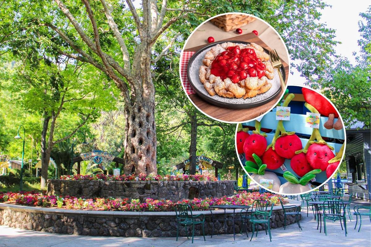 1.5 hours from San Francisco, this adorable produce-themed amusement park is bringing back its month-long cherry festival in June — awarded the industry’s ‘best new food & beverage event’