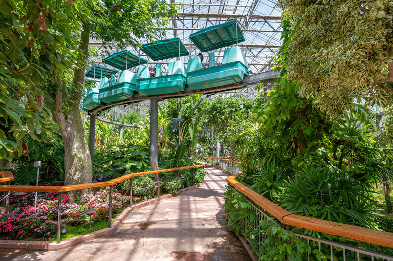 Dar un paseo en el Sky Ride en el invernadero de Gilroy Gardens