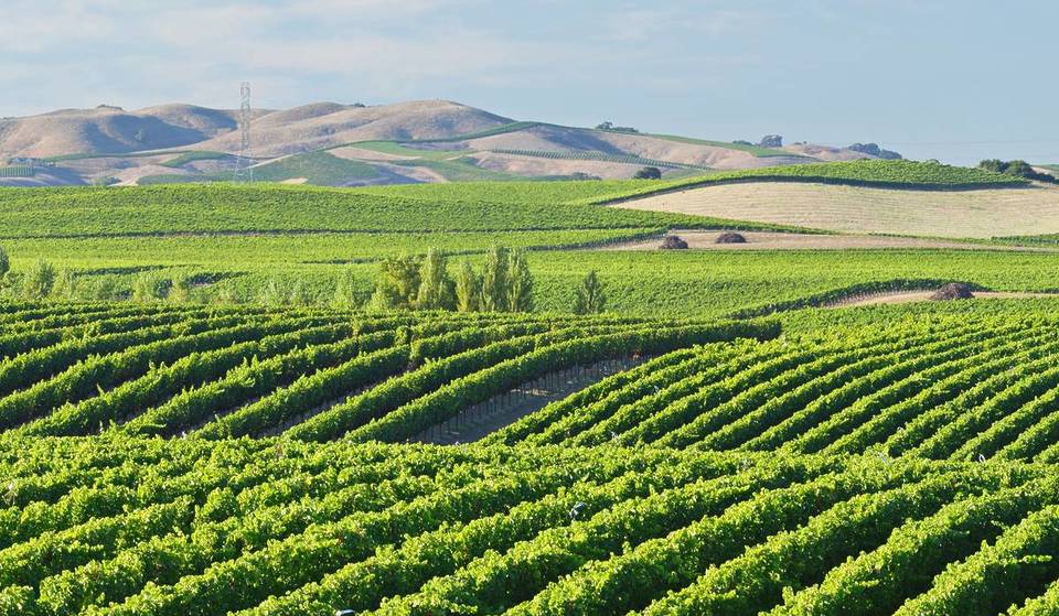 1.5 hours from SF: After nearly 2 decades of development, the Napa Valley Vine Trail has completed about 70% of its 47-mile path — it connects 236 wineries