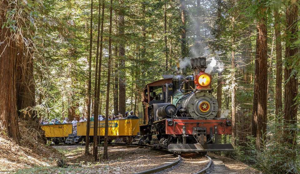 A 1,5 horas de San Francisco: estos trenes de vapor de 130 años de antigüedad ofrecen recorridos de verano hasta una cena secreta en las secuoyas, y la próxima es este fin de semana