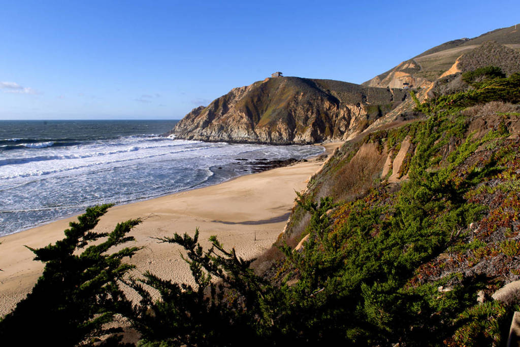 Gray Whale Cove en California
