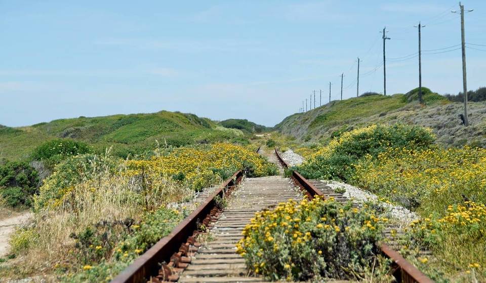 1.5 hours from SF: A 32-mile, car-free trail project is taking shape along the Santa Cruz coast, following the path of a 140-year-old railroad