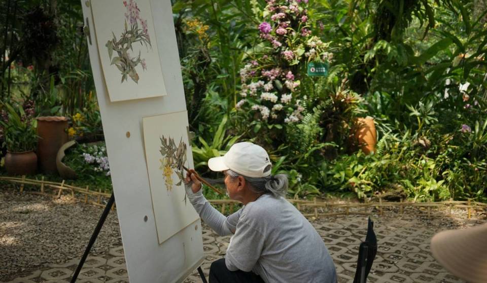 El Jardín Botánico de San Francisco organiza clases mensuales de acuarela en las que puedes pintar las flores de temporada
