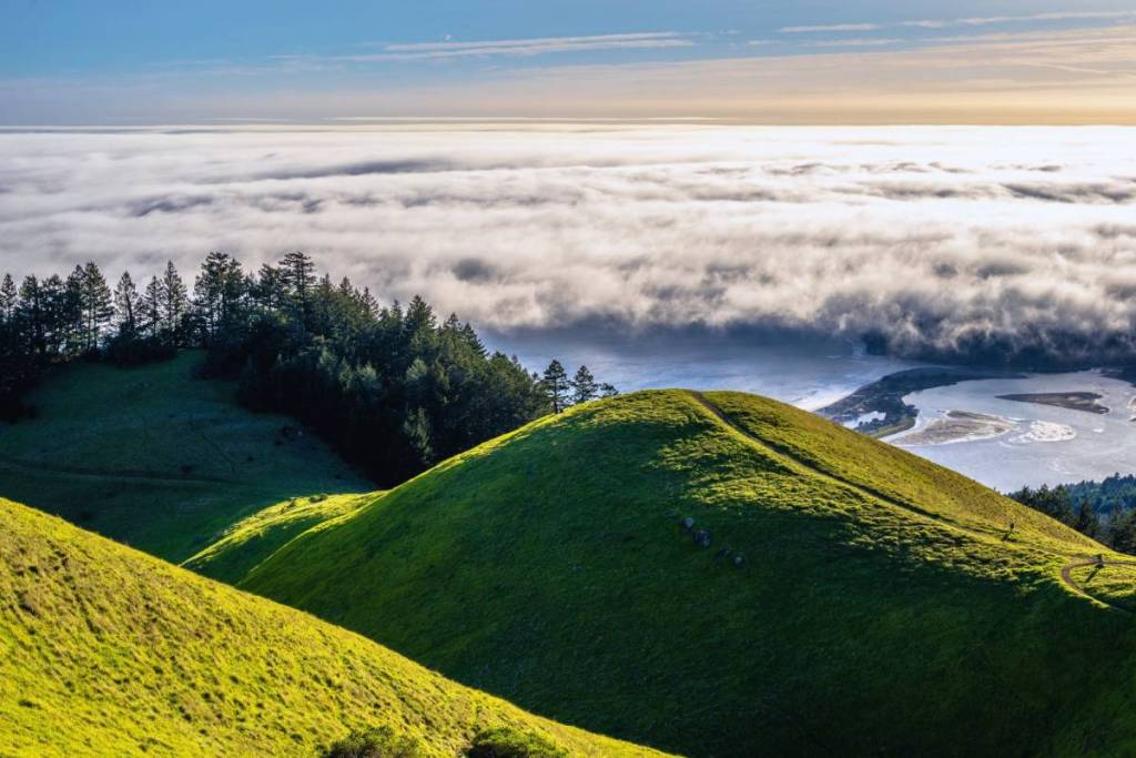 Vista más allá de la línea de niebla desde el monte Tamalpais