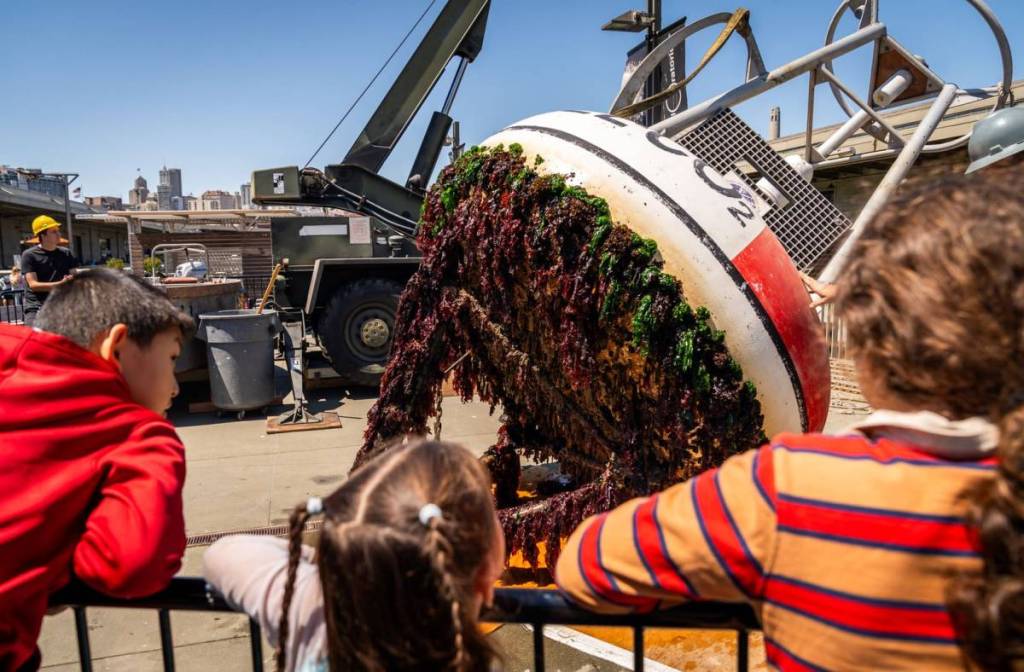 The Exploratorium's research buoy out of the water.