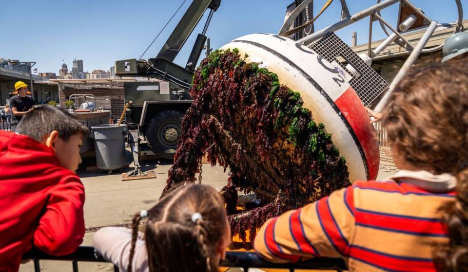 On just one day a year: SF’s Exploratorium is pulling its giant NOAA research buoy out of the water on Saturday, and visitors are invited to come check it out