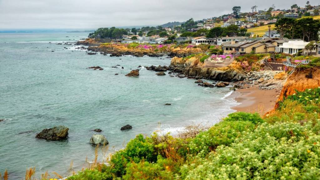 Beach and shoreline in Cambria CA