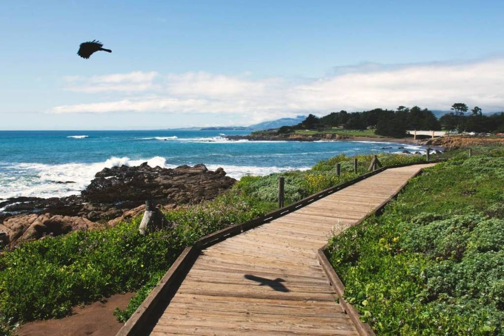Coastal pathway along the beach in Cambria, CA.