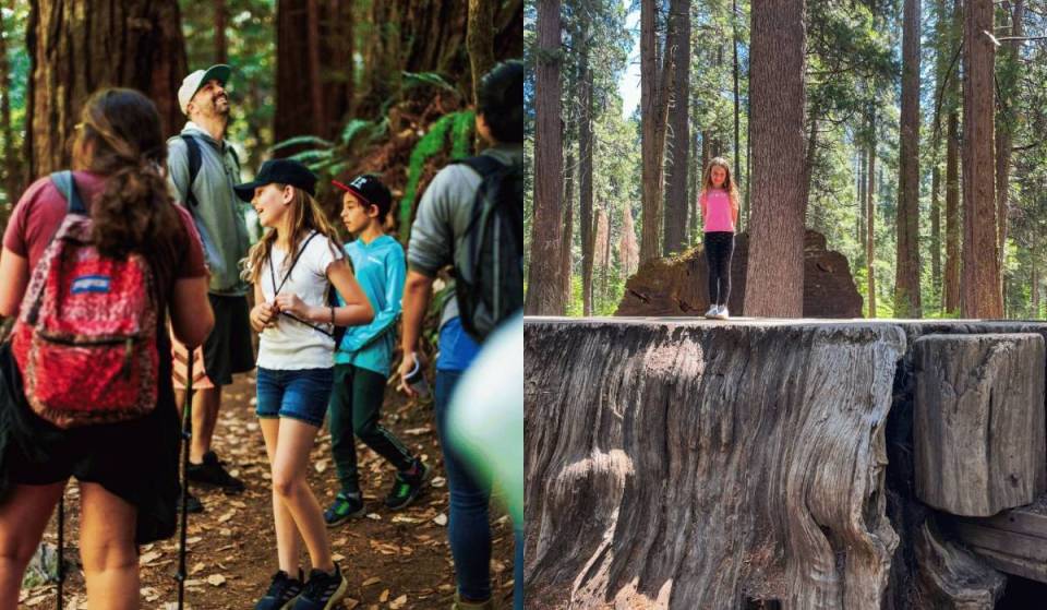 Before summer is over: California’s revamped fourth-grade pass gives families 13 months of free, unlimited entry to 54 state parks across the state