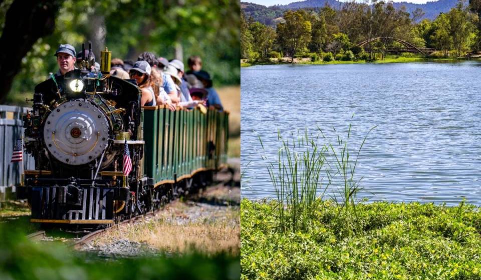 1 hour from San Francisco: This 152-acre lakeside park features free entry, scenic trails, and a historic miniature steam train offering rides for just $5