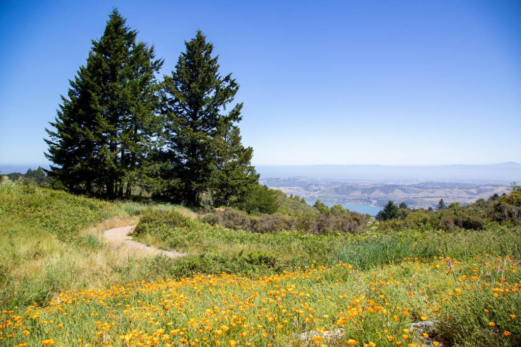 Skyline watershed ridge trail 