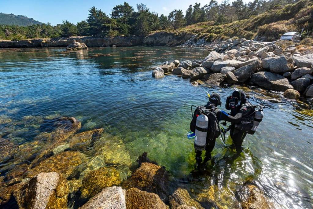 Scuba divers prepare to enter the water at Point Lobos.