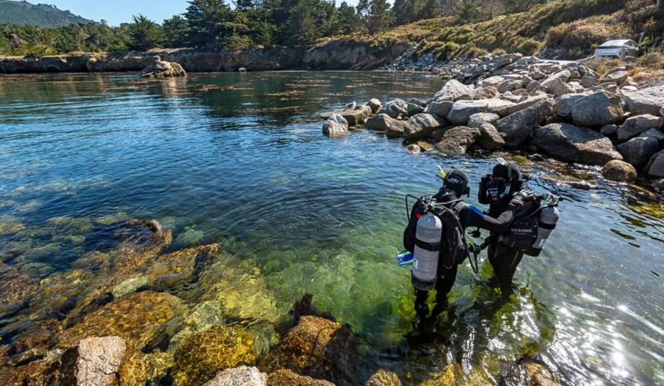 Skip the crowds: California’s ‘crown jewel’ of state parks hides a protected cove that’s one of the state’s top scuba diving spots