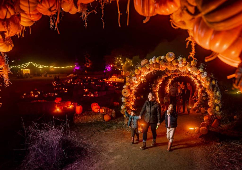 Pumpkin arches and decorations at Nightfall at Filoli