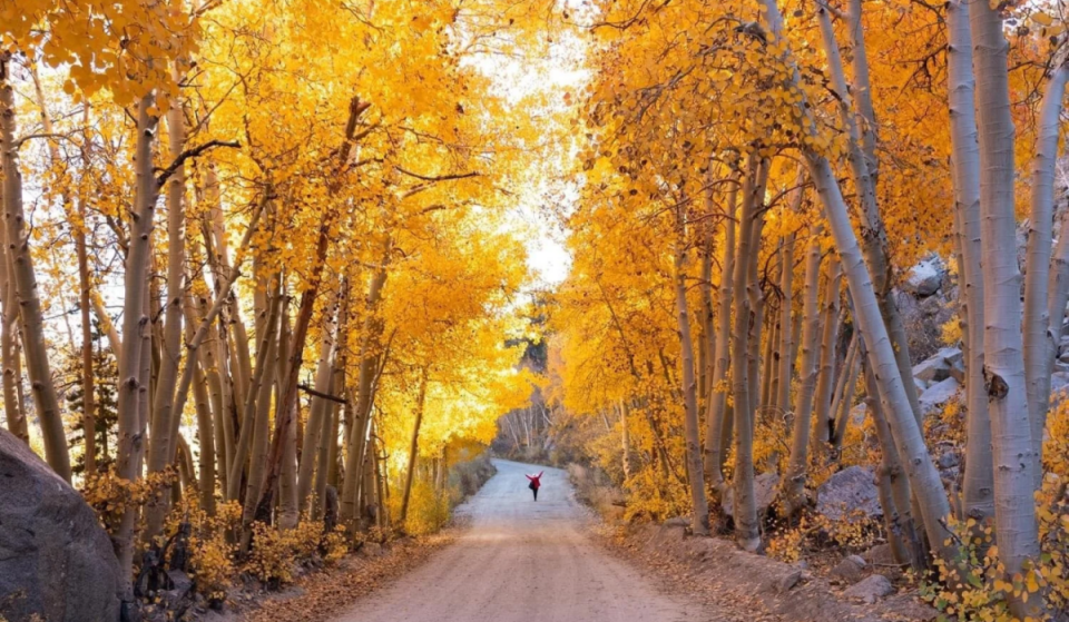 California’s best fall foliage is hidden in this Eastern Sierra town — and SFO just added year-round direct flights that can get you there in an hour