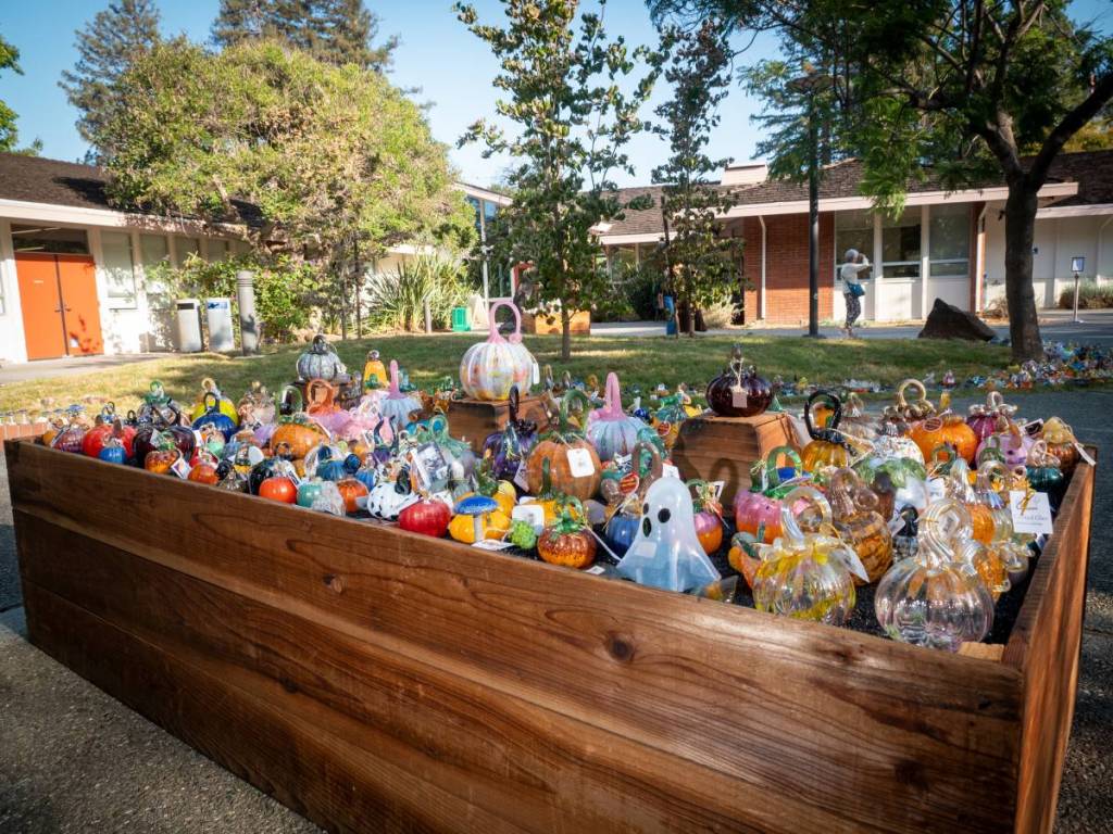 Palo Alto Art Center glass pumpkin patch displays
