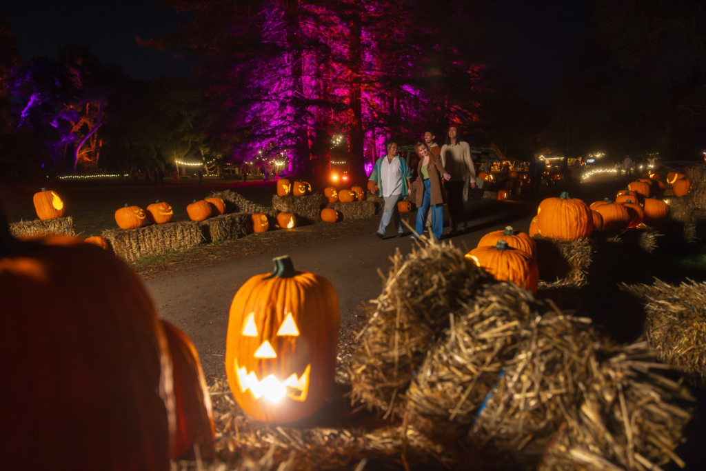 Filoli fall