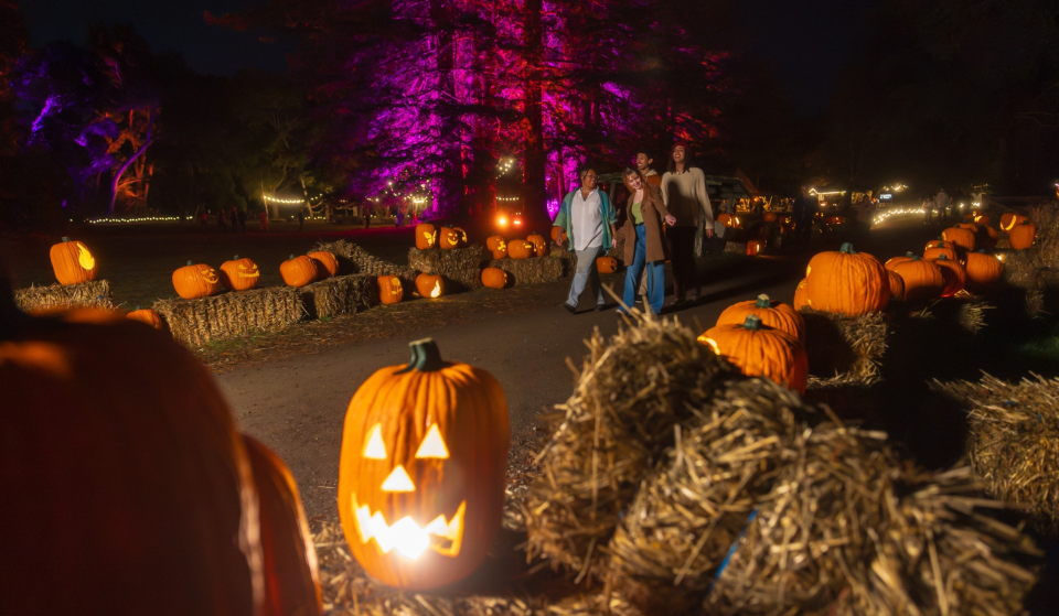 Just 30 minutes from San Francisco, the historic Filoli Estate is transforming its gardens with 1,000 glowing pumpkins and a whimsical haunted railway for Halloween