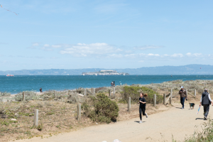 San Francisco’s new 13-mile city trail passes through 12 national park sites — here’s why now is the best time to hike it