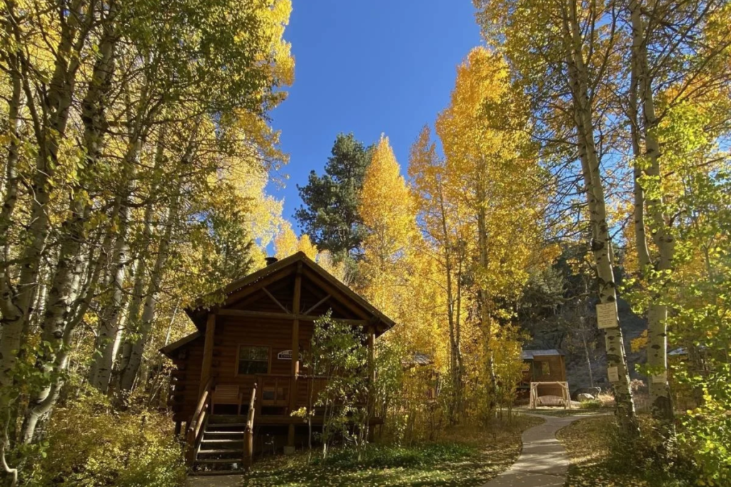 Hojas de otoño en el lago Tahoe