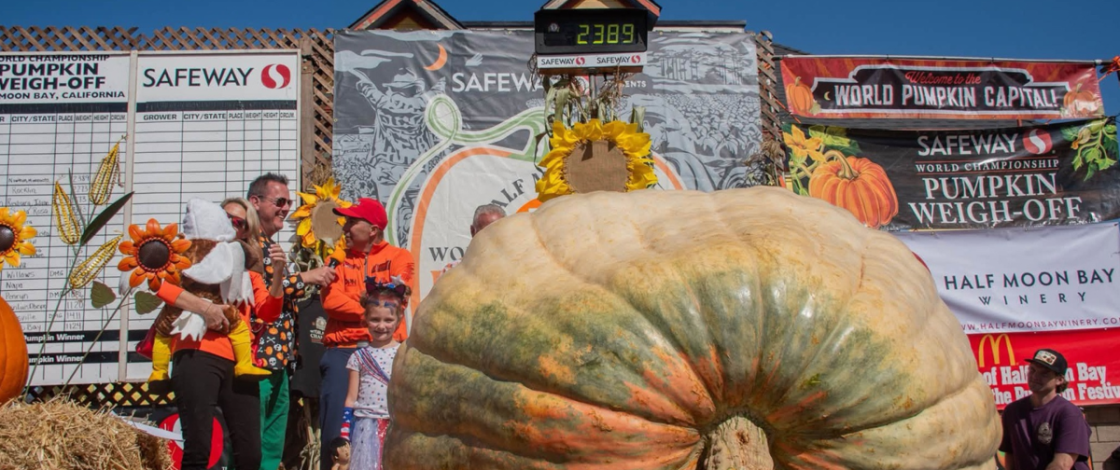 En 1974, una calabaza de 132 libras ganó el primer concurso de Half Moon Bay; 52 años después, un gigantesco ejemplar de 2.389 libras es la estrella del festival gratuito de 2026 que se celebra este fin de semana.