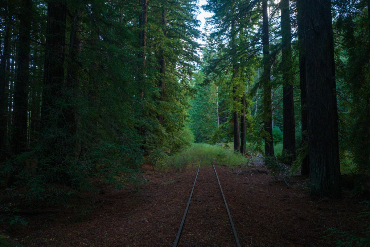 In the 20th century, freight trains rumbled along this 300-mile Northern California corridor; now, it's transforming into one of the nation's longest rail trails