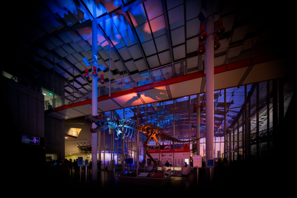 NightLife Cal Academy