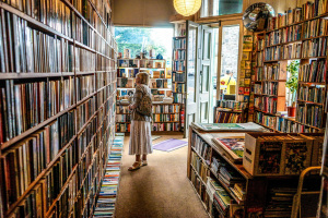 The Mission is hosting a free 4-hour literary bar crawl this weekend with live talks, immersive storytelling, and an after-party