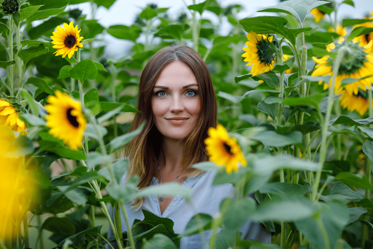 Tickets For This Incredible Sunflower Festival In August Are Now On Sale
