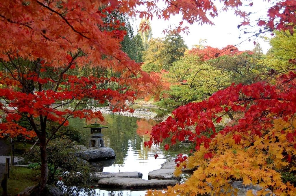 The 35 Best Things To Do In Seattle This September As Summer Turns To Fall