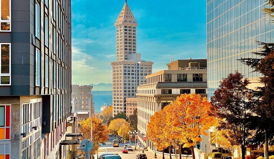 45 Ideas For Your Seattle Fall Bucket List, From Spooky Events To Cozy Festivals