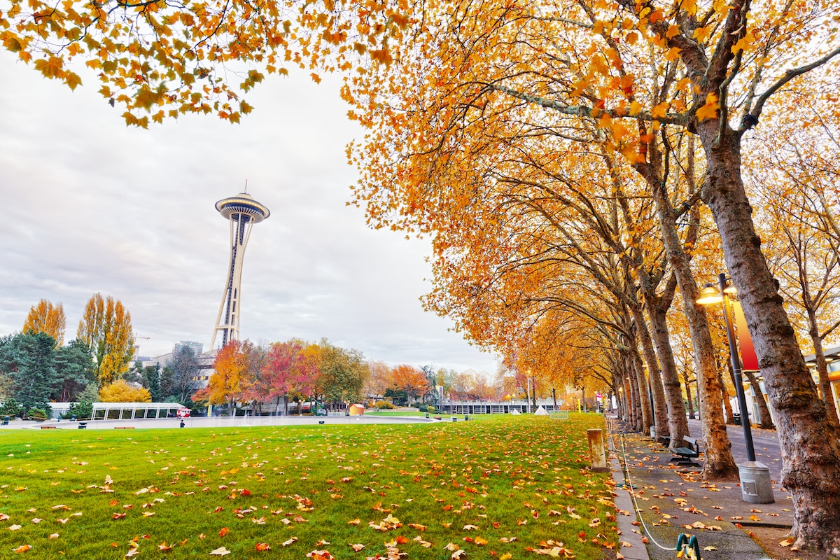 40 Bucket List Ideas For The Perfect Seattle Fall - Secret Seattle