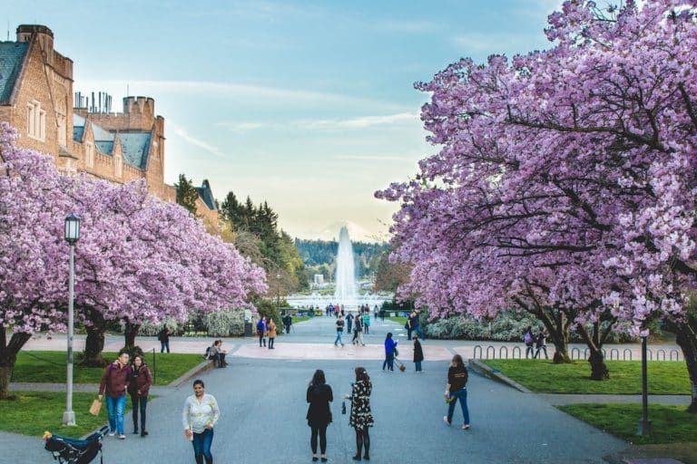The Top 16 Exciting Events In Seattle In 2025