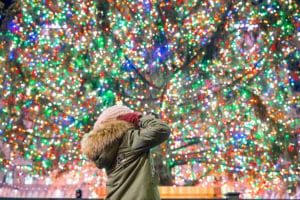 28 Exciting Things To Do In Seattle This Weekend: Nov. 22-24