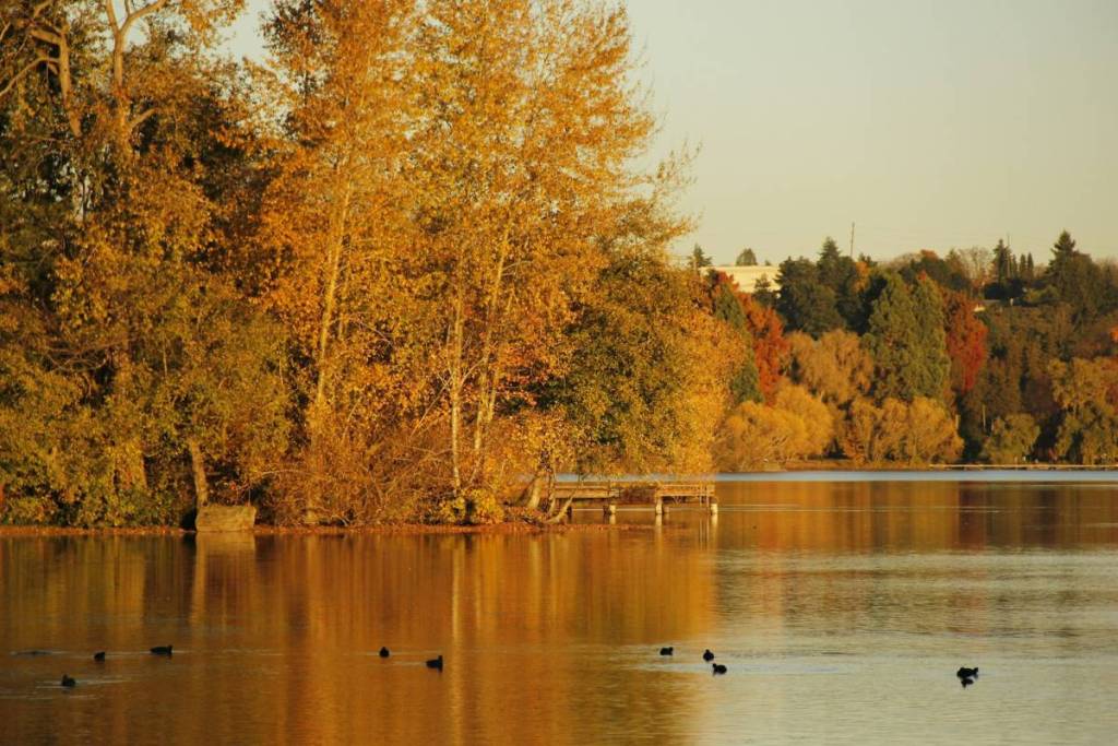 Green Lake en Seattle en otoño